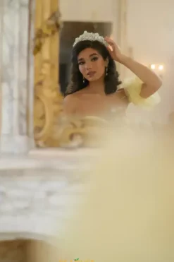 Sweet Sixteen|Plus Sized Quince Dresses^Amabella Q1064