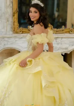 Sweet Sixteen|Plus Sized Quince Dresses^Amabella Q1064