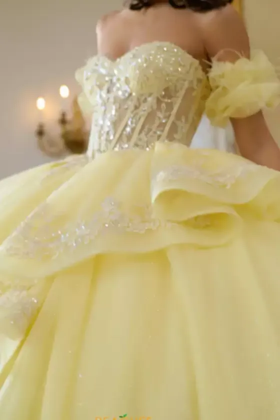 Sweet Sixteen|Plus Sized Quince Dresses^Amabella Q1064
