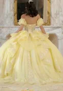 Sweet Sixteen|Plus Sized Quince Dresses^Amabella Q1064