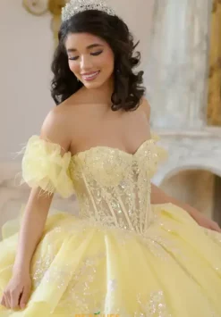 Sweet Sixteen|Plus Sized Quince Dresses^Amabella Q1064