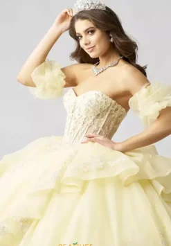Sweet Sixteen|Plus Sized Quince Dresses^Amabella Q1064