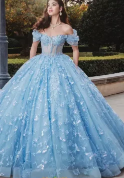 Sweet Sixteen|Plus Sized Quince Dresses^Amabella Q1004