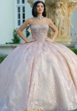 Sweet Sixteen|Plus Sized Quince Dresses^Amabella Q1067