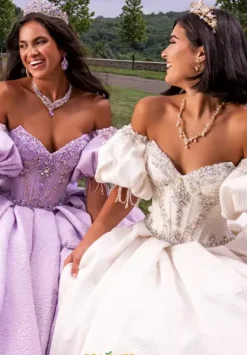 Sweet Sixteen|Plus Sized Quince Dresses^Amabella Q1027