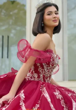 Sweet Sixteen|Plus Sized Quince Dresses^Amabella Q1053