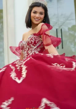 Sweet Sixteen|Plus Sized Quince Dresses^Amabella Q1053