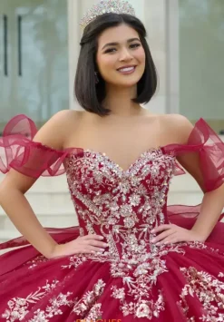 Sweet Sixteen|Plus Sized Quince Dresses^Amabella Q1053