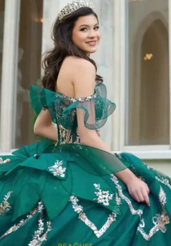 Sweet Sixteen|Plus Sized Quince Dresses^Amabella Q1053
