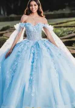 Sweet Sixteen|Plus Sized Quince Dresses^Amabella Q1001