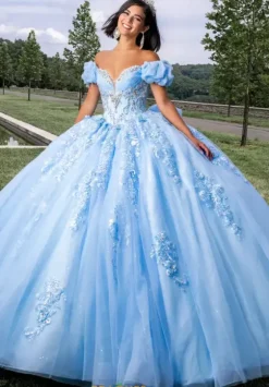 Sweet Sixteen|Plus Sized Quince Dresses^Amabella Q1028