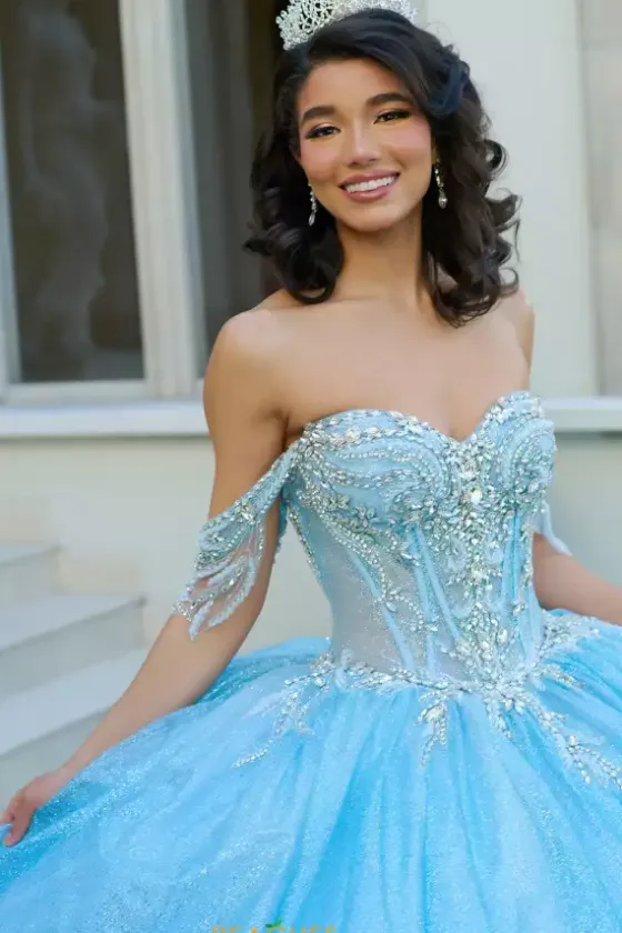 Plus Sized Quince Dresses|Sweet Sixteen^Amabella Q1062