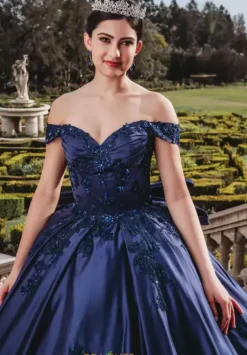 Sweet Sixteen|Plus Sized Quince Dresses^Amabella Q1008