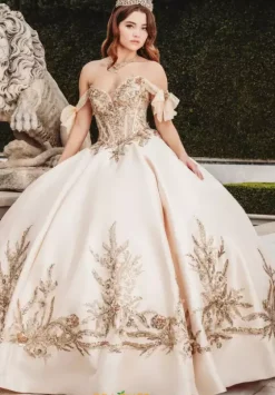 Sweet Sixteen|Plus Sized Quince Dresses^Amabella Q1010