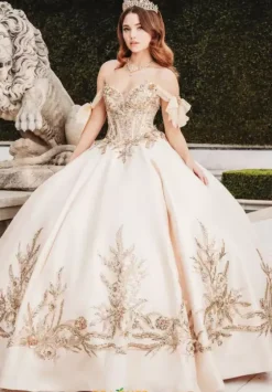 Sweet Sixteen|Plus Sized Quince Dresses^Amabella Q1010