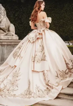 Sweet Sixteen|Plus Sized Quince Dresses^Amabella Q1010