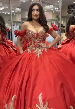 Sweet Sixteen|Plus Sized Quince Dresses^Amabella Q1010