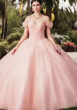 Plus Sized Quince Dresses|Sweet Sixteen^Amabella QA100