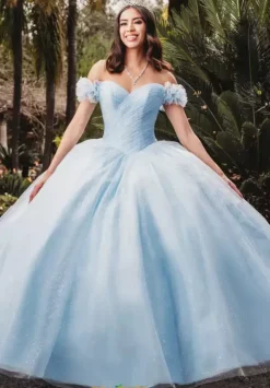 Plus Sized Quince Dresses|Sweet Sixteen^Amabella QA100