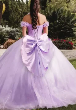 Plus Sized Quince Dresses|Sweet Sixteen^Amabella QA100
