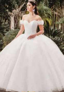 Plus Sized Quince Dresses|Sweet Sixteen^Amabella QA100