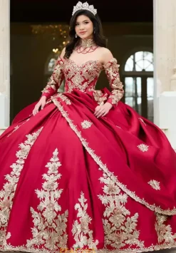 Quince Dresses With Sleeves|Plus Sized Quince Dresses^Amabella QA152