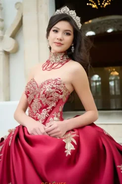 Quince Dresses With Sleeves|Plus Sized Quince Dresses^Amabella QA152