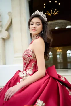 Quince Dresses With Sleeves|Plus Sized Quince Dresses^Amabella QA152