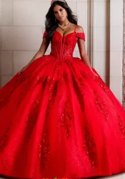 Sweet Sixteen|Plus Sized Quince Dresses^Amabella QA110