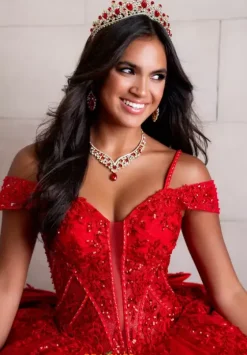 Sweet Sixteen|Plus Sized Quince Dresses^Amabella QA110