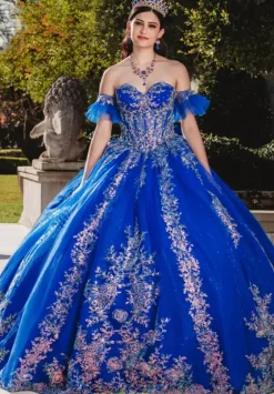Sweet Sixteen|Plus Sized Quince Dresses^Amabella QA103