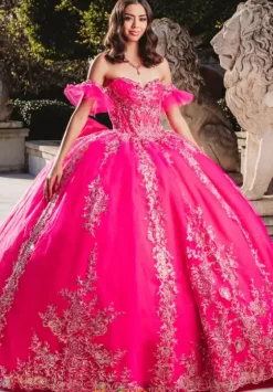 Sweet Sixteen|Plus Sized Quince Dresses^Amabella QA103
