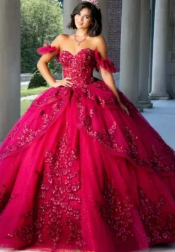 Sweet Sixteen|Plus Sized Quince Dresses^Amabella QA112