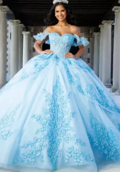 Sweet Sixteen|Plus Sized Quince Dresses^Amabella QA112