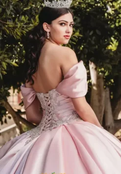 Plus Sized Quince Dresses|Sweet Sixteen^Amabella QA101