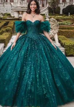 Sweet Sixteen|Plus Sized Quince Dresses^Amabella QA105