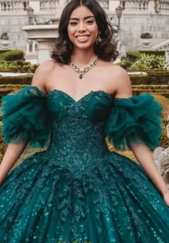 Sweet Sixteen|Plus Sized Quince Dresses^Amabella QA105