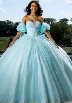Plus Sized Quince Dresses|Sweet Sixteen^Amabella QA113