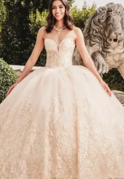 Sweet Sixteen|Plus Sized Quince Dresses^Amabella QA102