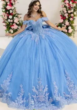 Plus Sized Quince Dresses^LizLuo Quinceanera 26128