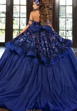 Plus Sized Quince Dresses|Sweet Sixteen^LizLuo Quinceanera 80042