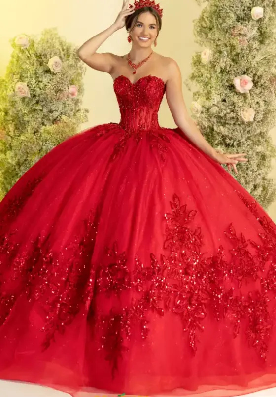 Plus Sized Quince Dresses^LizLuo Quinceanera 56554