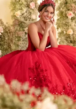 Plus Sized Quince Dresses^LizLuo Quinceanera 56554