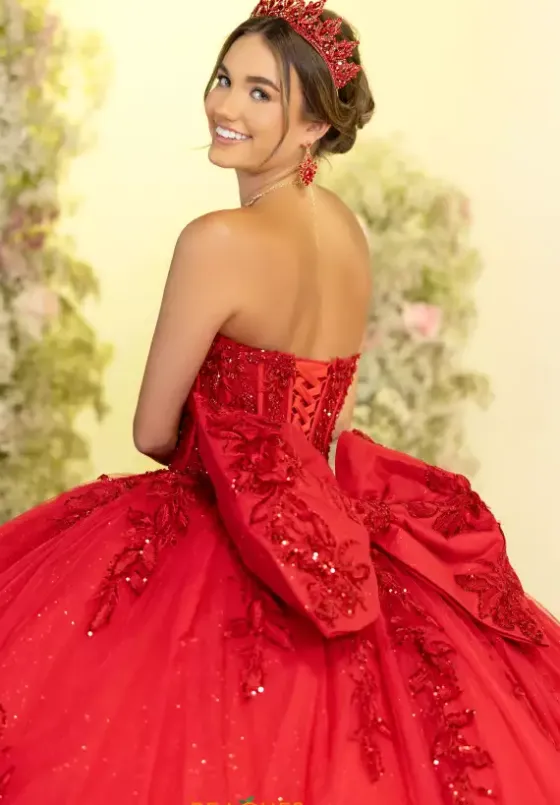 Plus Sized Quince Dresses^LizLuo Quinceanera 56554