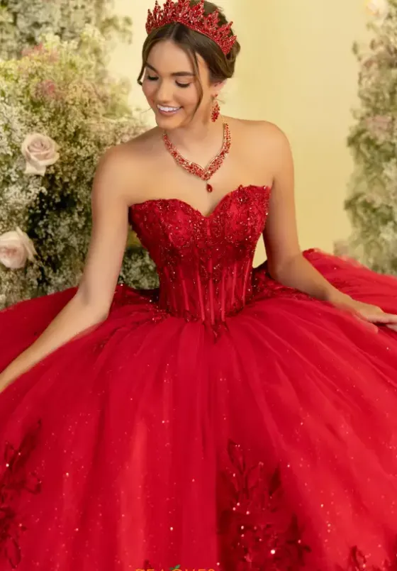 Plus Sized Quince Dresses^LizLuo Quinceanera 56554