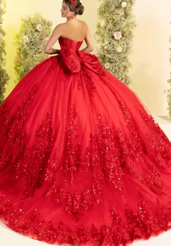 Plus Sized Quince Dresses^LizLuo Quinceanera 56554