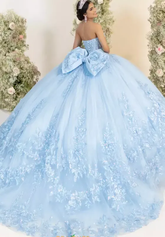 Plus Sized Quince Dresses^LizLuo Quinceanera 56554