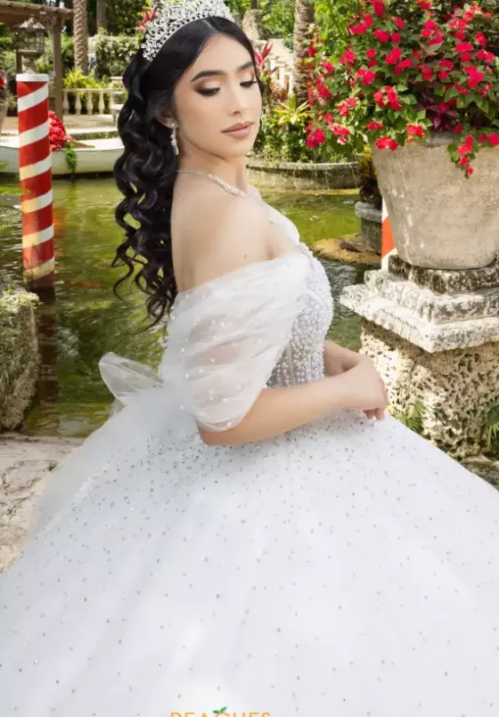 Plus Sized Quince Dresses|Sweet Sixteen^LizLuo Quinceanera 26102