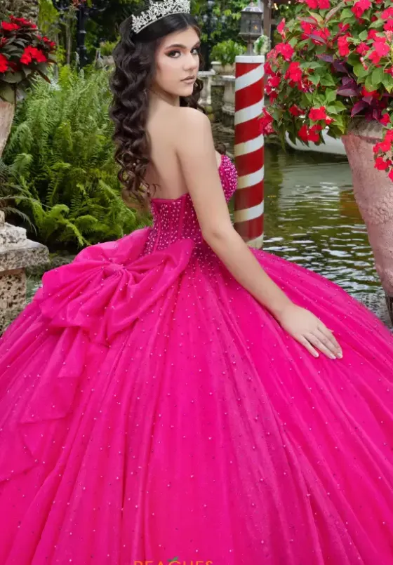 Plus Sized Quince Dresses|Sweet Sixteen^LizLuo Quinceanera 26102