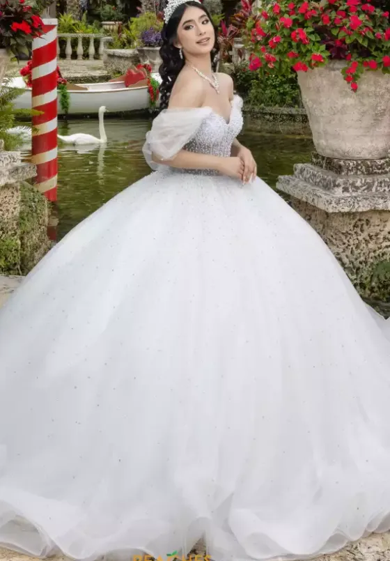 Plus Sized Quince Dresses|Sweet Sixteen^LizLuo Quinceanera 26102